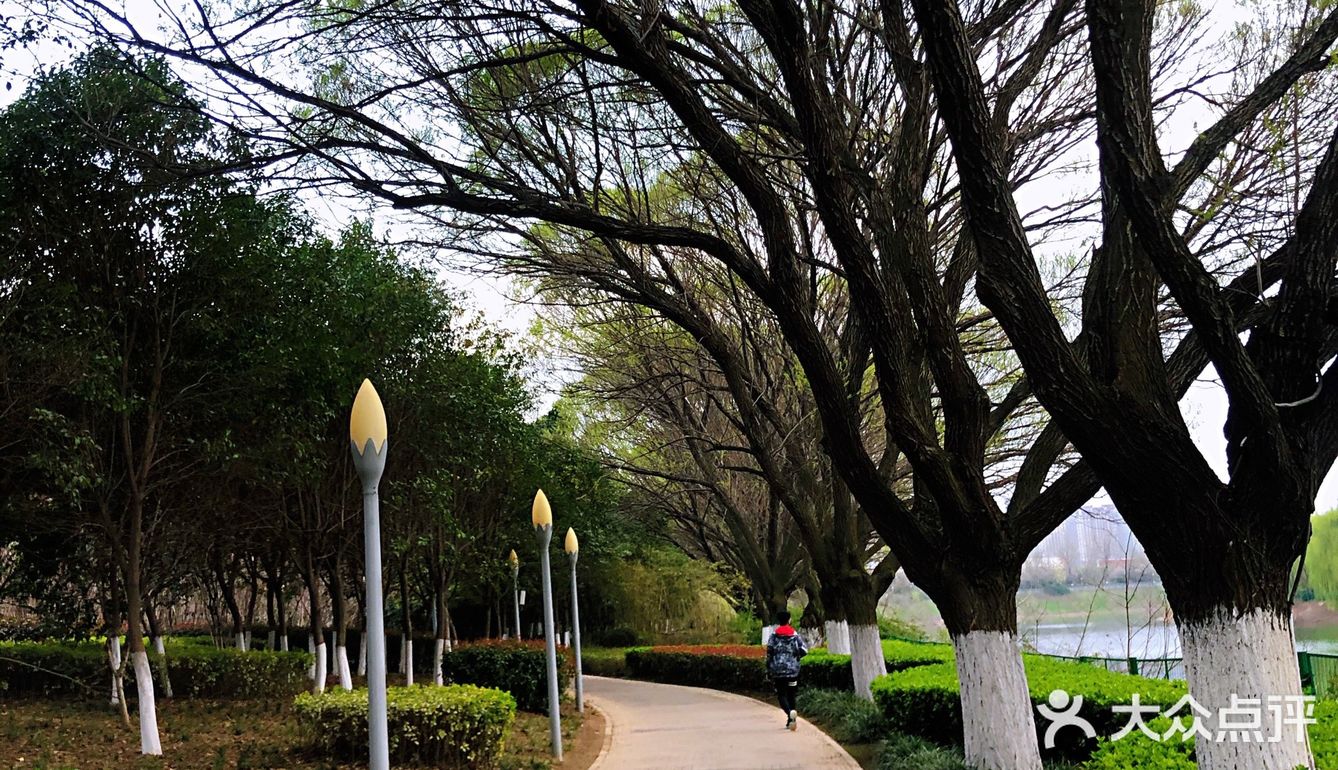 城市漫步 绿色之城，怪不得古人说春日踏青