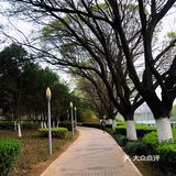 城市漫步 绿色之城，怪不得古人说春日踏青