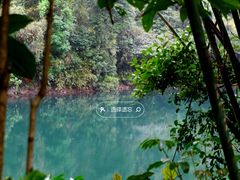 -鼎湖山风景区