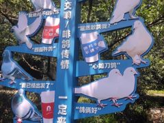 -音乐台