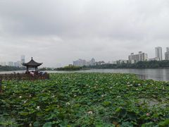 -南宁南湖公园