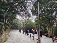 -普陀山风景区-佛顶山