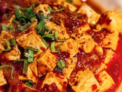 蹄筋麻婆豆腐-肆海小川菜酒馆Wine Bistro (青年路店)