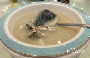 White Soup Pufferfish