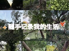 -杭州城北体育公园