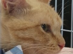 -远洋未来广场(育慧北路店)