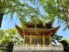 -上海东林寺(金山区)