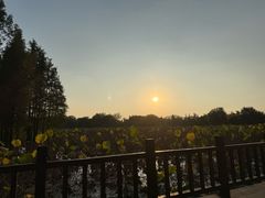 -云龙湖旅游景区