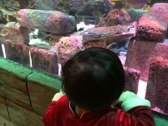 -沈阳海洋探索中心