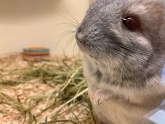 -龙猫仔乐园(惠福东路店)