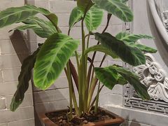 -唐山宴大唐州府精品中餐