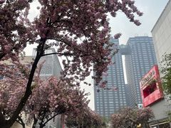 -西安创业咖啡街区