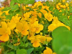 -苏州太湖国际会议中心