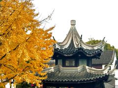 -八大山人梅湖景区