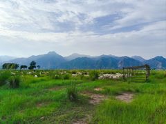 -敕勒川草原文化旅游区
