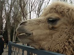 -长白岛森林公园