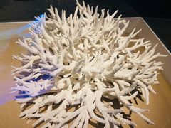 -天津自然博物馆