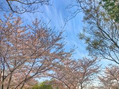 -尚贤河湿地