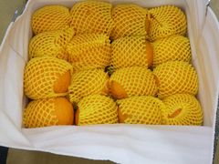 -吉林大学(前卫南区)