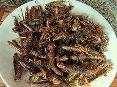 -夏家大锅台炖鱼馆