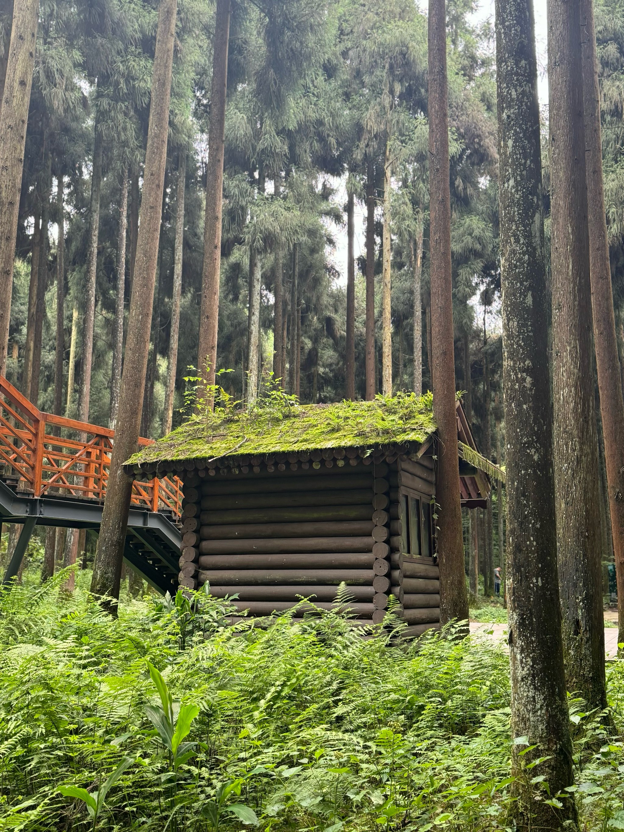 邛崃天台山旅游风景区图片