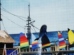 -海合安天津极地海洋公园