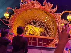 -广州长隆国际大马戏