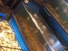 -千百叶海鲜自助餐厅(万达广场店)