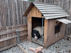 -小时光咖啡馆(开森度假森林店)