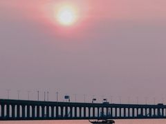 -宝安西湾红树林湿地公园