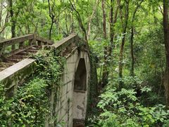 -青龙山国家森林公园