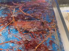-徐记海鲜(大雁塔|金都店)
