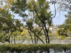 -重庆彩云湖湿地公园