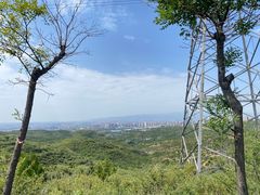-五龙城郊森林公园