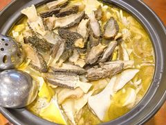 -菌之家·专业纯野生菌火锅·特色炒菌