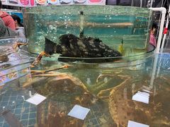 -老船长海鲜大排档(集美店)