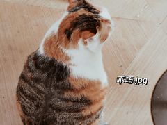 -黑胶星球(华发中城商都店)