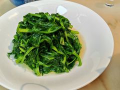 青炒龙里豌豆尖-范家小馆·四代传承烤鸭店(紫竹桥店)