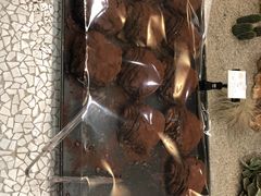 -OUR Bakery(SKP-S店)