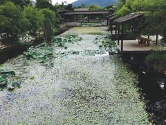 景点-大理洱源西湖景区