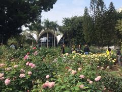 -人民公园(罗湖区)