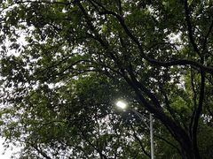 -火炉山森林公园