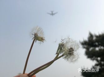 日光机场｜西湖园看飞机起落，小众拍照休闲必去的地方
