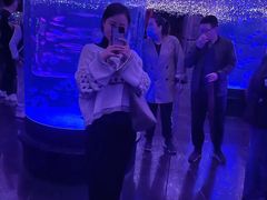 -哈尔滨波塞冬海底世界