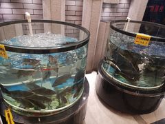 -营信刘罗锅铁锅炖(建华店)