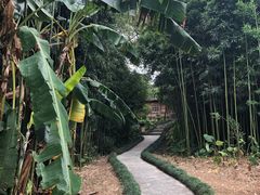 -福建鲤鱼洲酒店