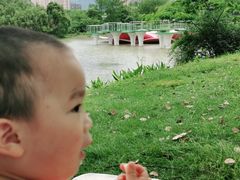 -艾溪湖湿地公园