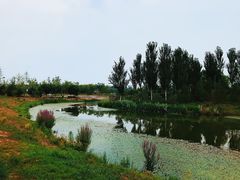 -东郊湿地公园