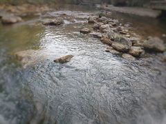 -华蓥山天意谷景区