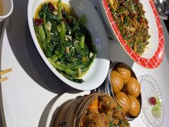 -新概念来凤鱼(璧山店)